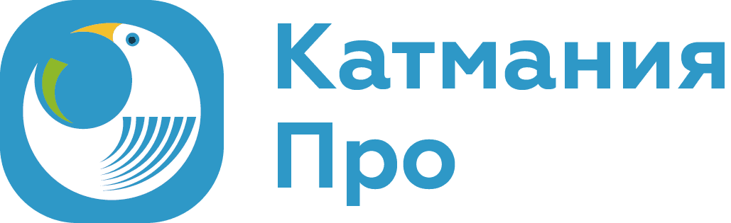 1.1 - Катмания.Про.png